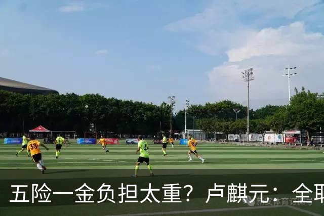 五险一金负担太重？卢麒元：全取消，征房产直接税，经济才会正常